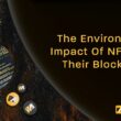 Environmental Impact of NFTs and Their Blockchains