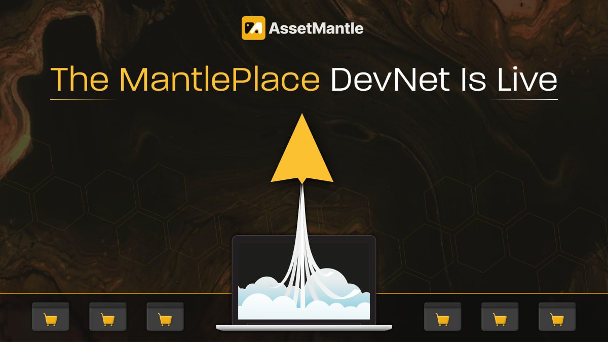 AssetMantle MantlePlace DevNet Walkthrough